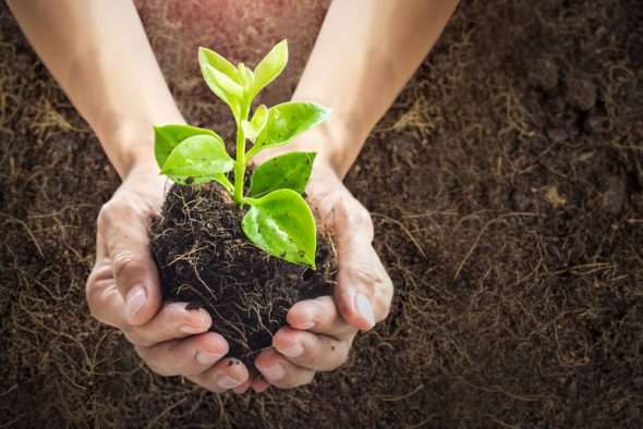 Sustentabilidade